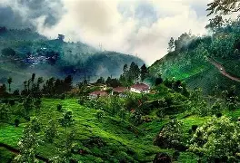 Coorg