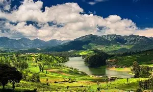 Ooty